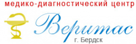 Логотип компании Веритас