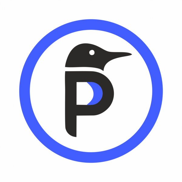 Логотип компании CleanPin