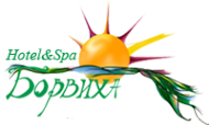 Логотип компании Борвиха