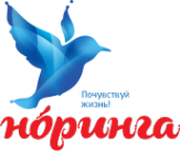 Логотип компании Норинга