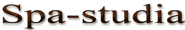 Логотип компании Spa-studia
