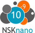 Логотип компании NSKnano